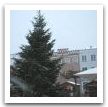 IMG_5716.JPG