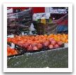 IMG_5725.JPG